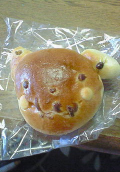 201101270937000.jpg