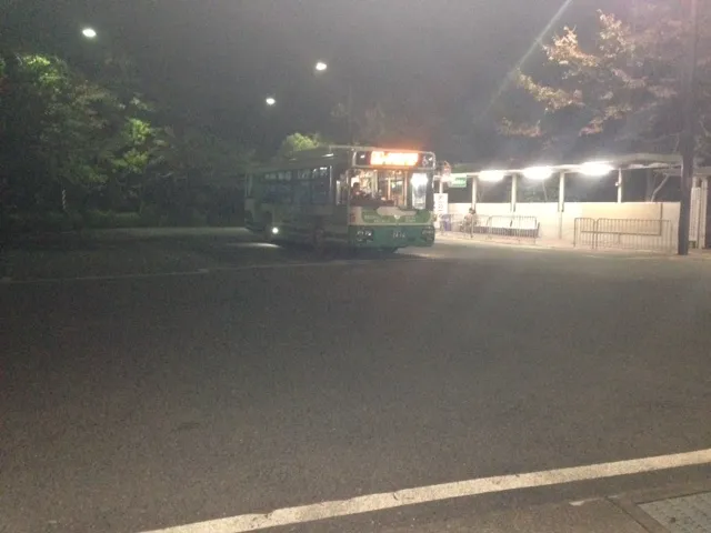 image.jpeg