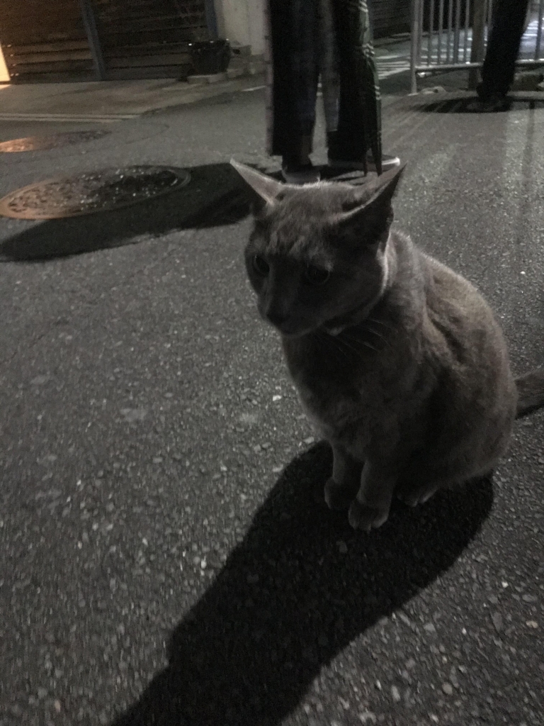 image1.jpeg