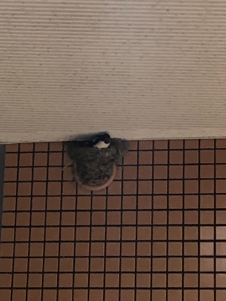 image3.jpeg